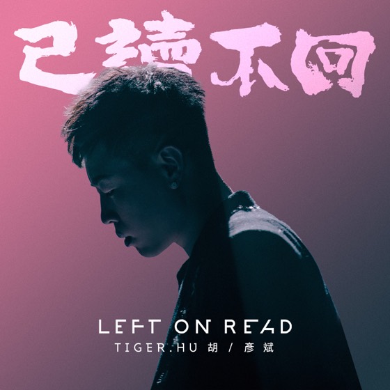 REDLIGHT STUDIO 参与作品封面
