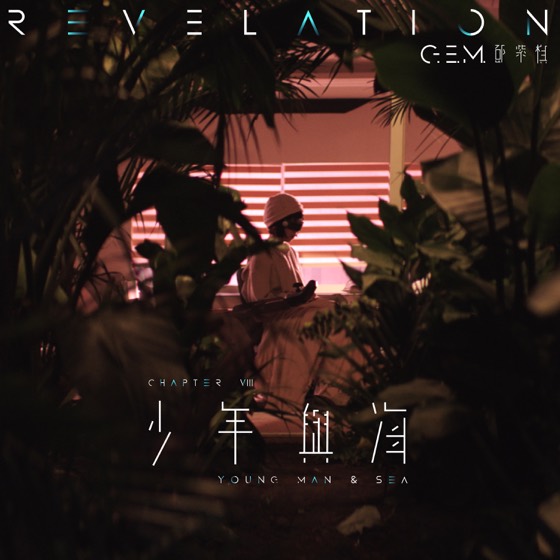 REDLIGHT STUDIO 参与作品封面