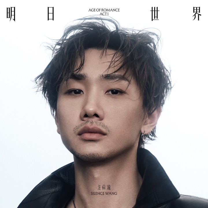 REDLIGHT STUDIO 参与作品封面